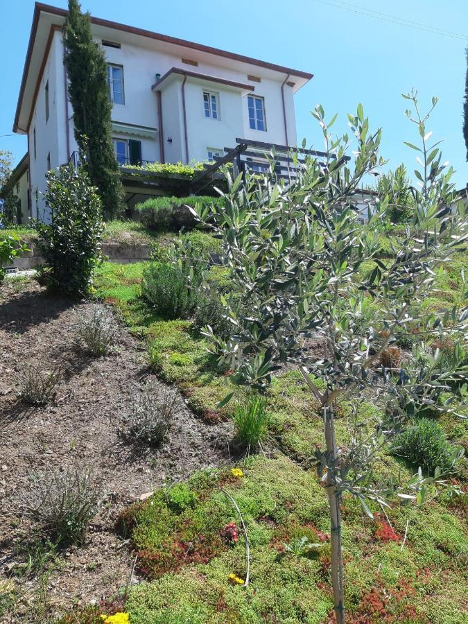 Villa Pavone Coreglia Antelminelli Dış mekan fotoğraf